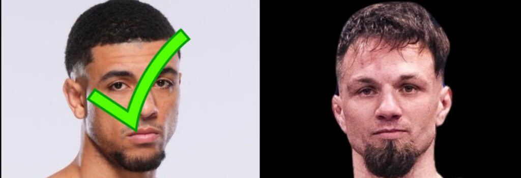 Predicciones y Análisis UFC 316: Dvalishvili vs. O’Malley 2
